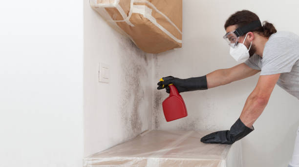 Professional Attic Mold Removal technician working in Boonton, NJ